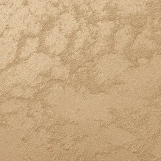 02-1005