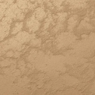 02-1006