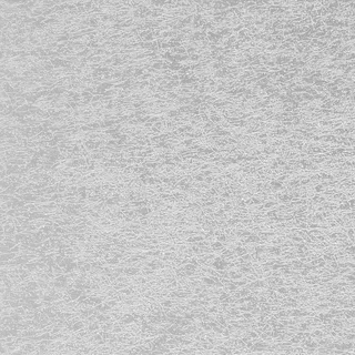 B6