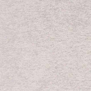 B8