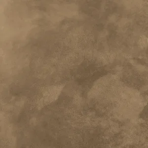 02-810